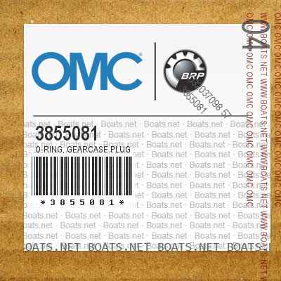 3855081 O-RING, Gearcase plug