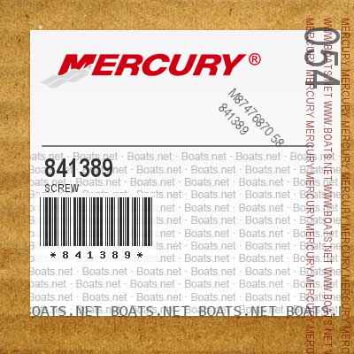 841389 SCREW