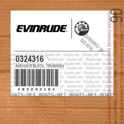 0324316 ANCHOLR BLOCK, Trunnion