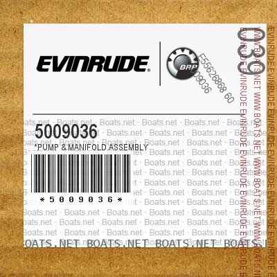 5009036 *PUMP & MANIFOLD Assembly