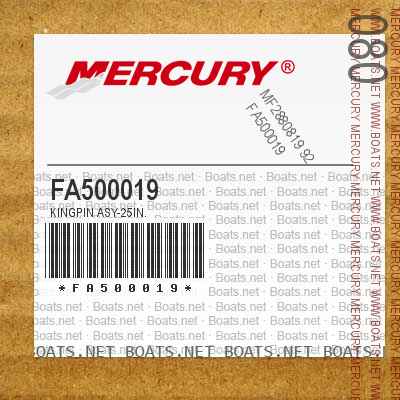 FA500019 KINGPIN ASY-25IN.