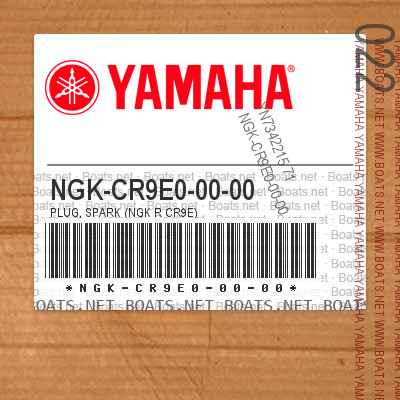NGK-CR9E0-00-00 Plug, Spark (Ngk R Cr9e)