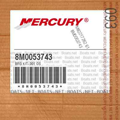 8M0053743 BRG KIT-.001 OS