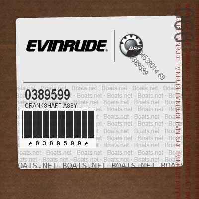 0389599 CRANKSHAFT ASSY