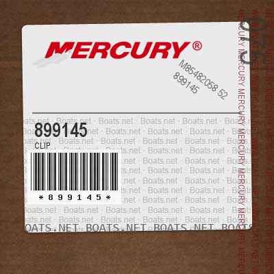 899145 CLIP