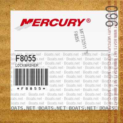 F8055 LOCKWASHER