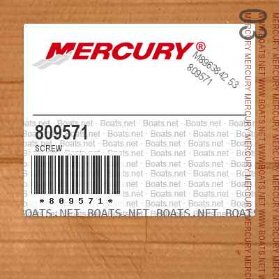 809571 SCREW