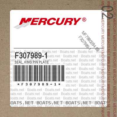 F307989-1 SEAL, KING PIN PLATE
