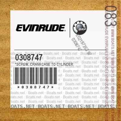0308747 *SCREW, Crankcase to cylinder