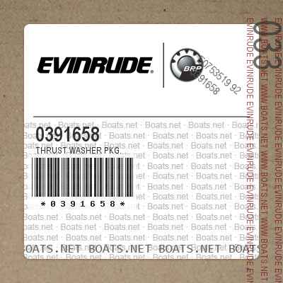 0391658 THRUST WASHER PKG.