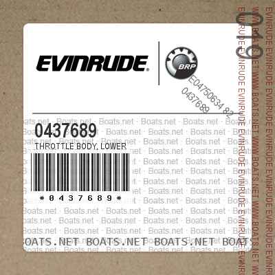 0437689 THROTTLE BODY, Lower