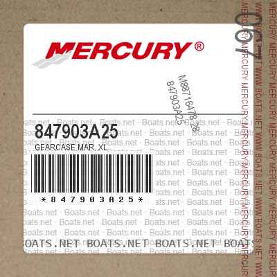 847903A25 GEARCASE MAR. XL
