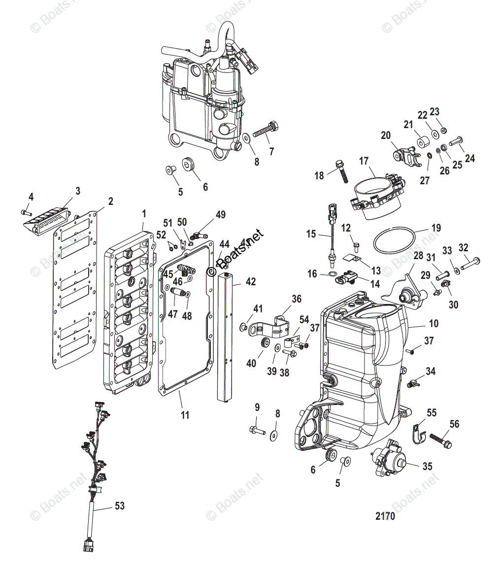 Mercury Outboard 200HP OEM Parts Diagram for Fuel Management