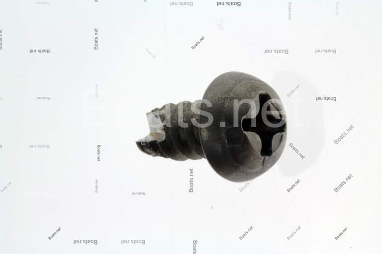 62568 SCREW @4