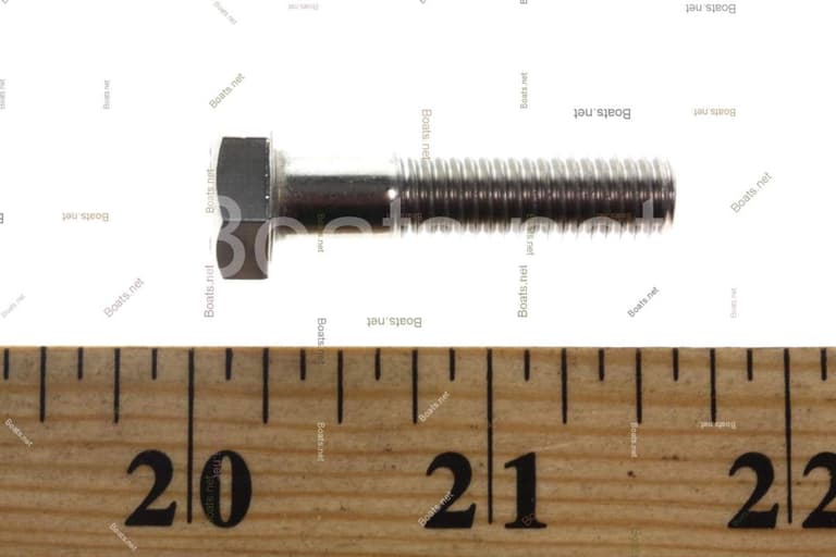 4000355 SCREW @10