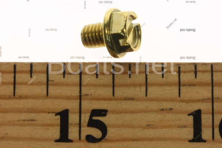 Mercury 8095783 SCREWDRAIN