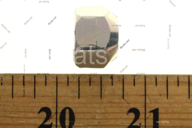 34516 NUT @2