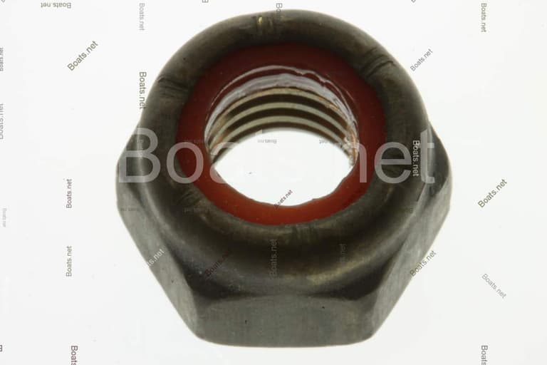 815848 NUT