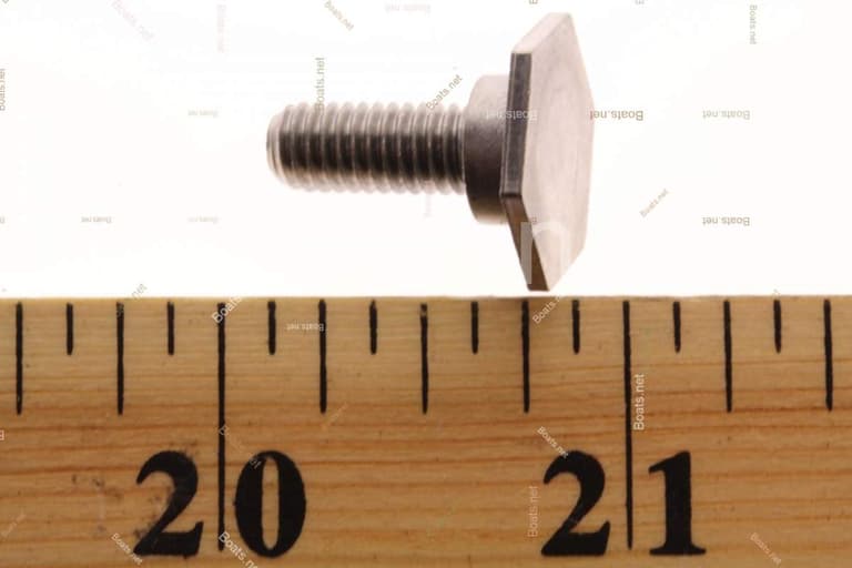 42498 SCREW