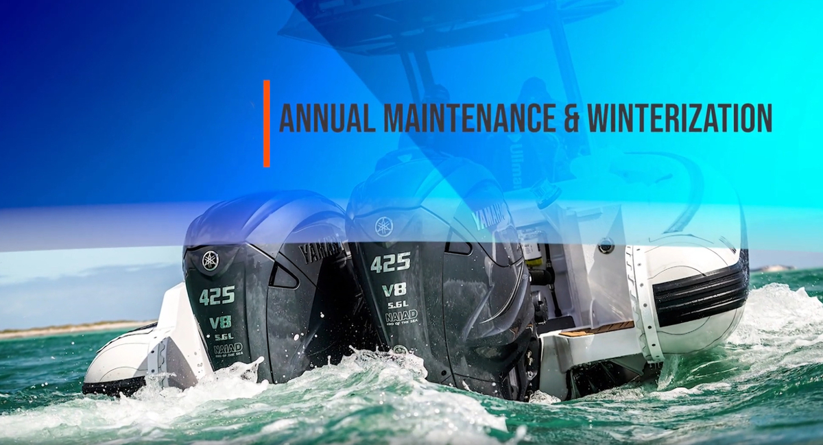 Outboard annual maintenance and winterization