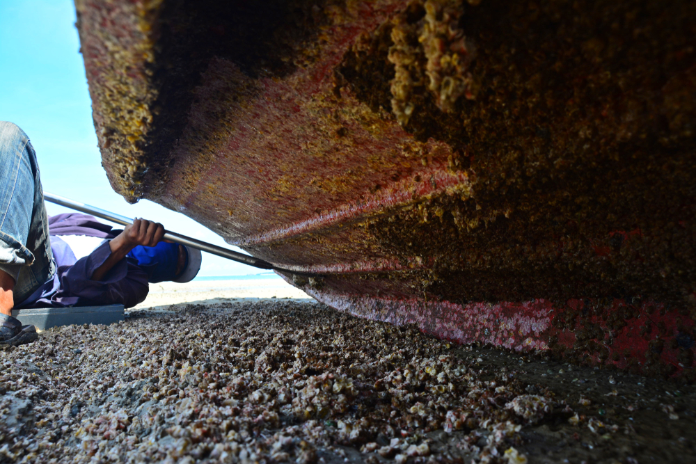 Boat hull marine growth barnacle removal 