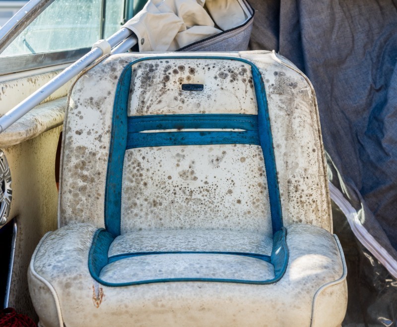 Tips for selling a boat mold removal