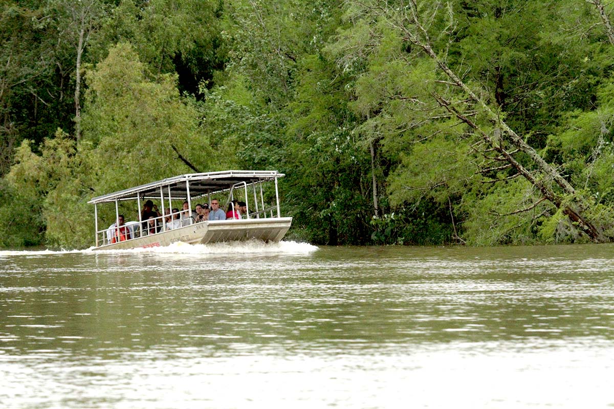 Boating in a swamp tips pontoon riverboat