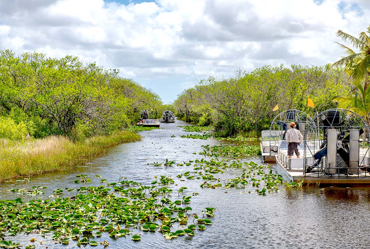 Boating in a swamp tips Everglades