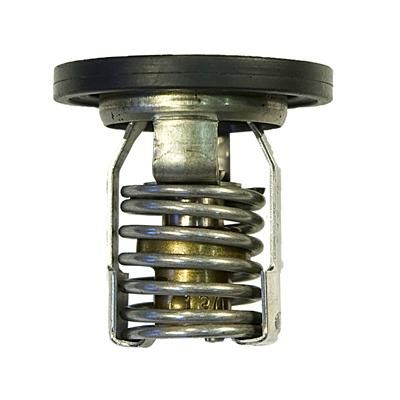 Mercury outboard thermostat