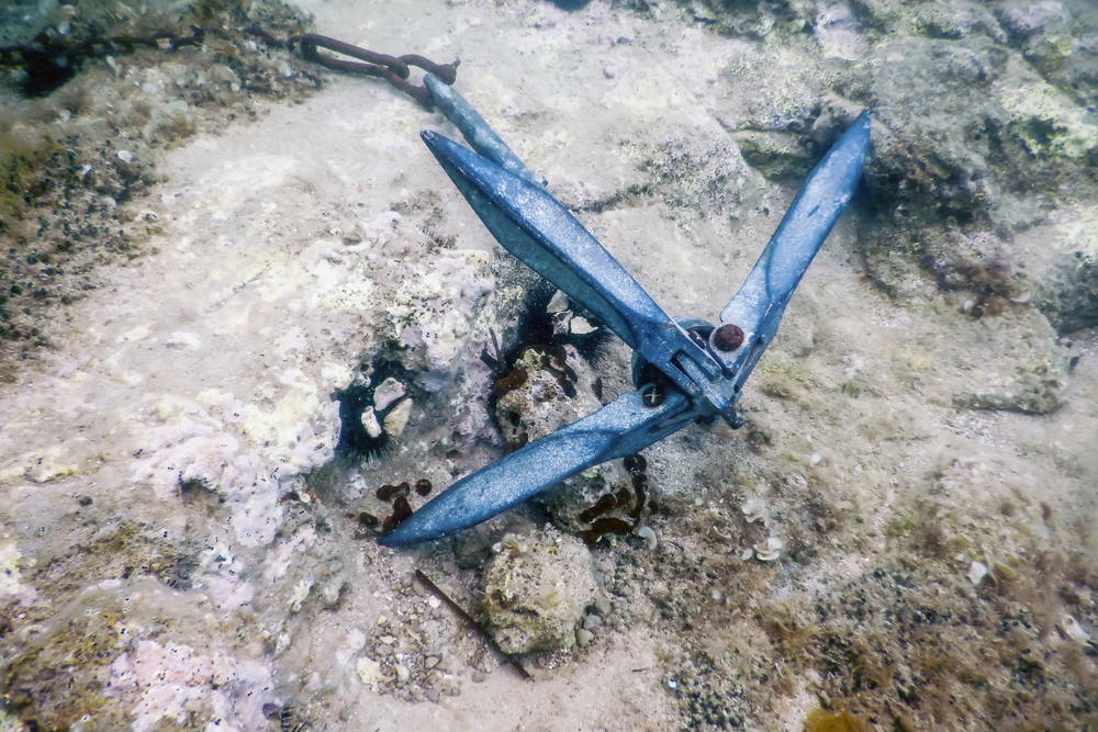 Boat PWC grapnel anchor bottom