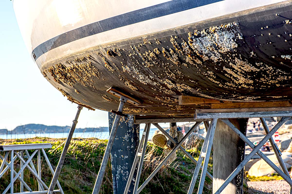 Why you need to remove barnacles from a boat